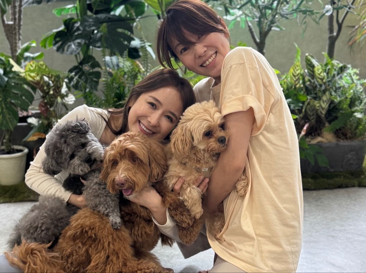 ベーシックヨガ(犬参加OK)